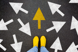 Navigating Misinformation | Gbiota