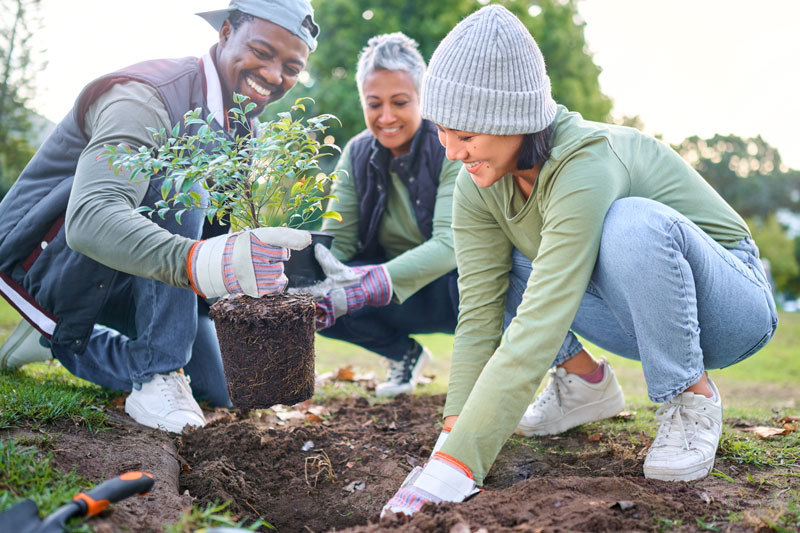 Gbiota Club | Gbiota