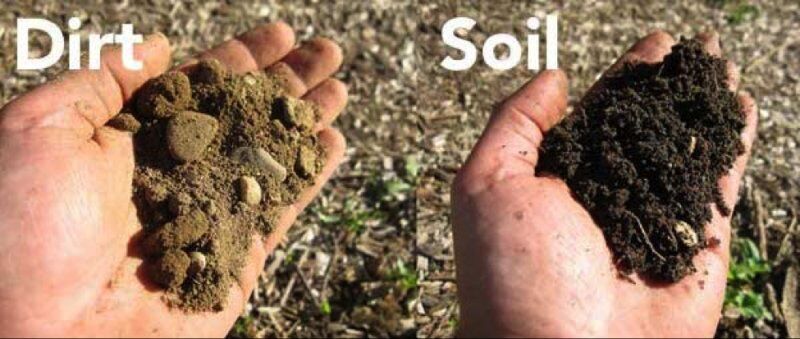 dirt to soil