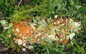 Raw materials for soil