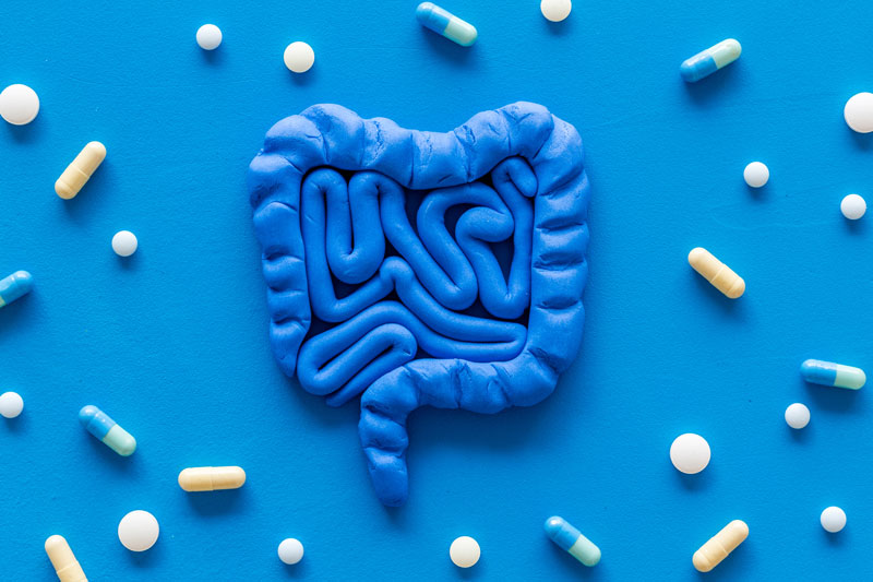 Modern Disease Gut Health | Gbiota