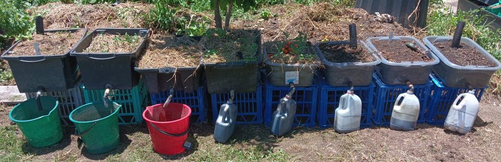Several Gbiota boxes in rotation