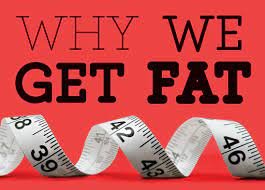 why we get fat
