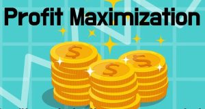 profit maximise
