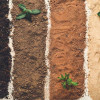 Different Types of Soil | Gbiota