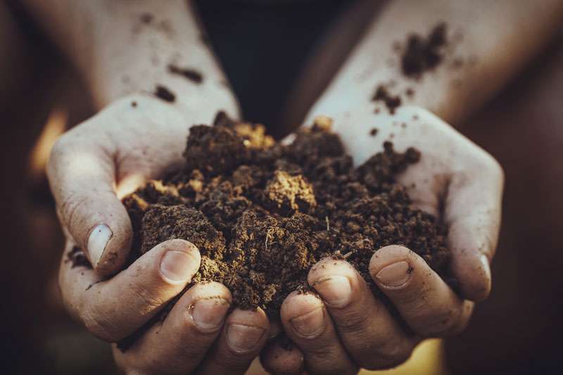 Health Starts in the Soil | Gbiota
