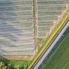 aeriel-view-agriculture-field-colin-austin-gbiota