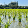 anticipatory-irrigation-field-colin-austin-gbiota