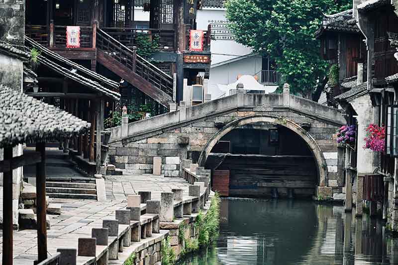 chinese-town-colin-austin-gbiota