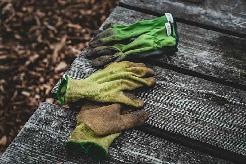 dirty-gardening-gloves-colin-austin-gbiota