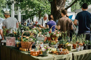 local-farmers-market-vegetables-colin-austin-gbiota