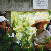 people-gardening-1-colin-austin-gbiota