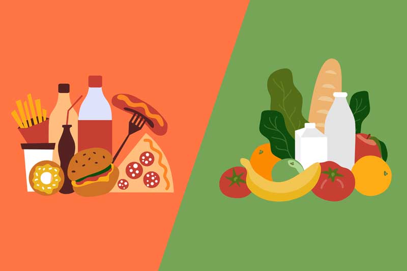 Phytonutrients | Colin Austin | Gbiota