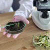 scientist-examining-sprout-colin-austin-gbiota