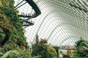 sustainable-green-future-colin-austin-gbiota