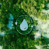 water-droplet-in-trees-innovation-colin-austin-gbiota