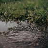 water-droplets-puddle-on-soil-colin-austin-gbiota