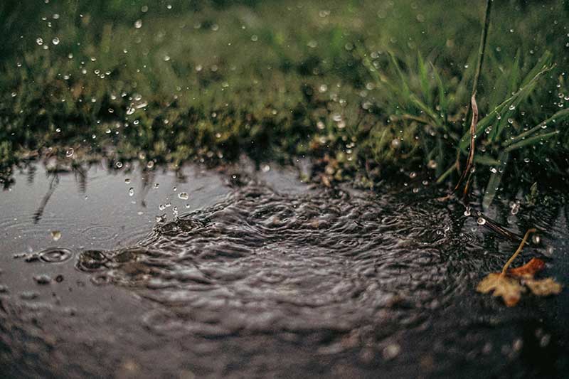 water-droplets-puddle-on-soil-colin-austin-gbiota