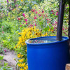 blue-water-tank-in-flower-garden-colin-austin-gbiota