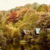 cabin-in-woods-on-river-colin-austin-gbiota