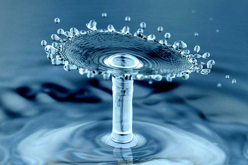 experimental-water-drop-colin-austin-gbiota