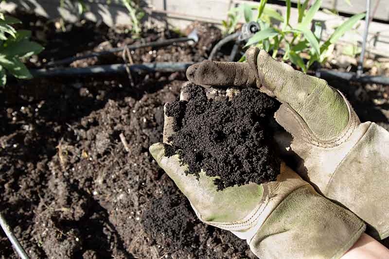 healthy-soil-regeneration-in-gloves-colin-austin-gbiota