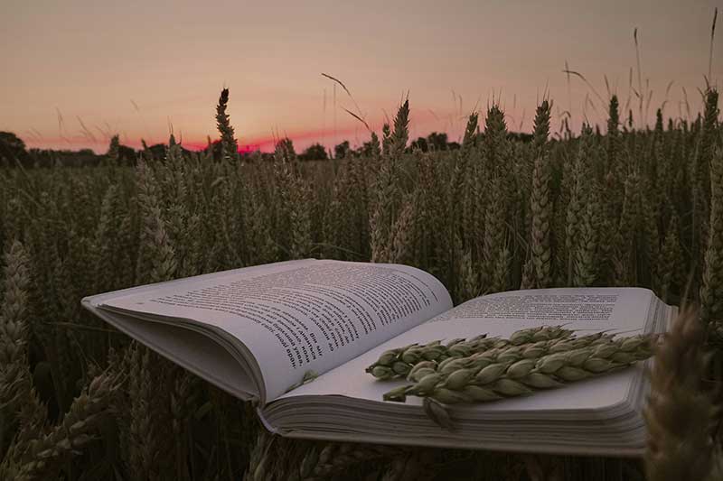 open-book-in-field-colin-austin-gbiota