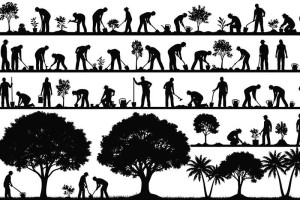 people-digging-and-gardening-black-and-white-illustration-colin-austin-gbiota