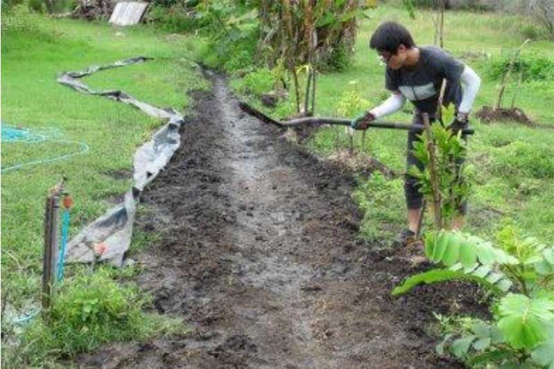 person-making-spoon-drain-colin-austin-gbiota