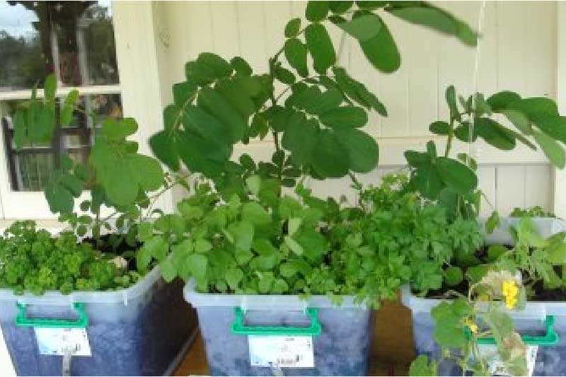 soil-biopack-colin-austin-gbiota