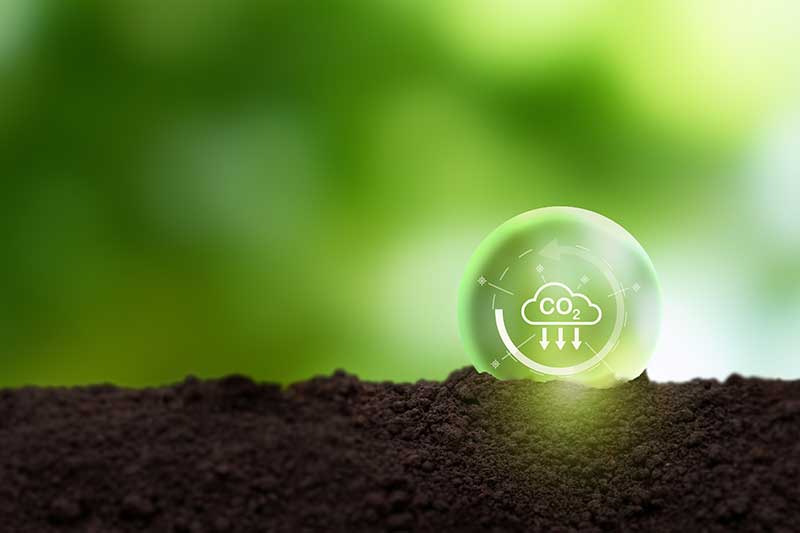 soil-carbon-emissions-capture-colin-austin-gbiota