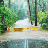 water-closed-by-flood-sign-on-road-colin-austin-gbiota