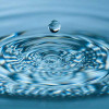 water-drop-ripple-colin-austin-gbiota