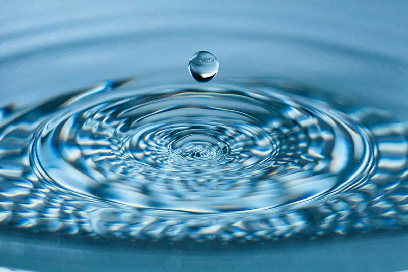 water-drop-ripple-colin-austin-gbiota