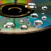 water-droplets-on-dvd-colin-austin-gbiota