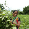 woman-smiling-while-in-field-colin-austin-gbiota