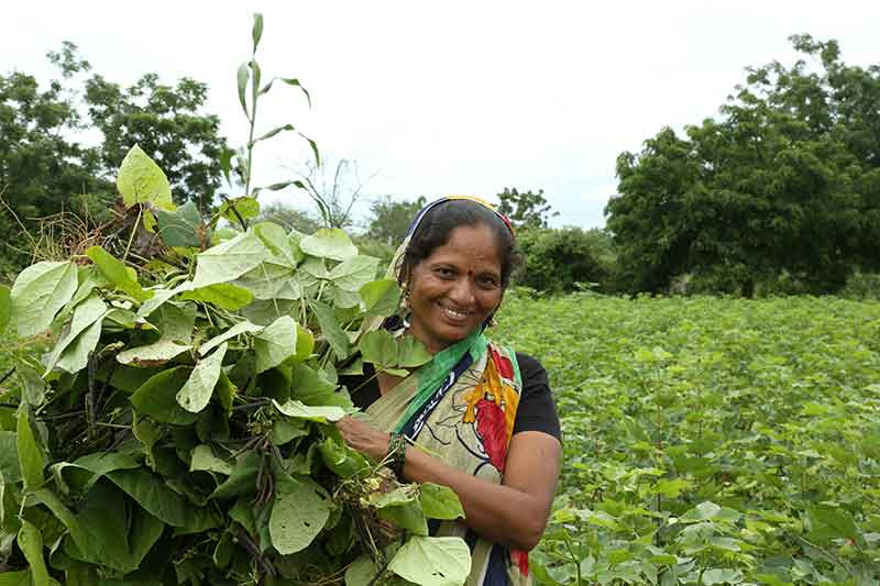 woman-smiling-while-in-field-colin-austin-gbiota